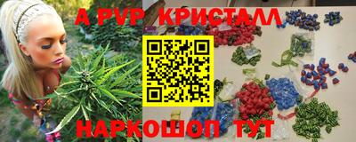 прущие крисы Новозыбков