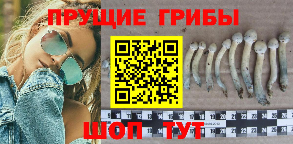 Ртищево  Галлюциногенные грибы ЛСД  Вход с VPN 