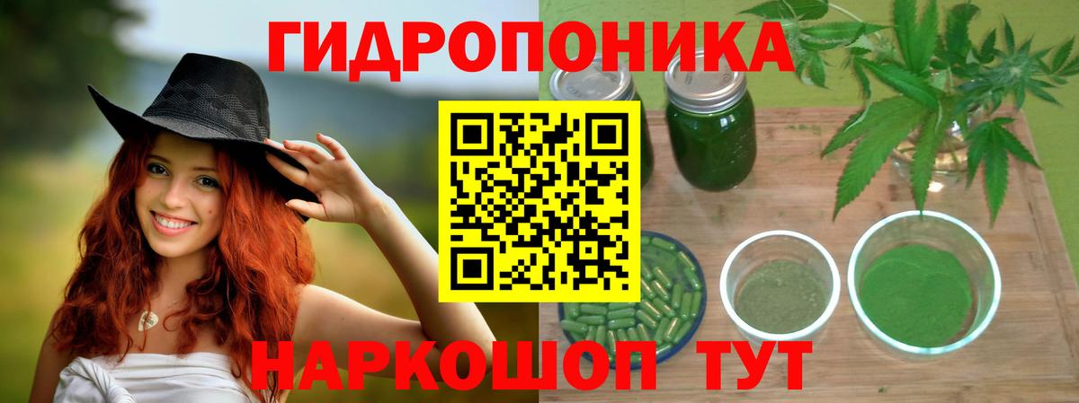 Каннабис Amnesia  Вход с VPN  Канабис тримм  Марихуана VHQ  Ртищево  Бошки Шишки AK-47 